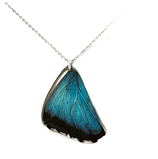 Přívěsek z křídla motýla Morpho peleides No. 2863